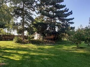 Pronájem rodinného domu, Kostelec nad Černými lesy, 260 m2