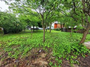 Prodej vícegeneračního domu, Chvalčov, V uličce, 270 m2