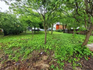 Prodej vícegeneračního domu, Chvalčov, V uličce, 270 m2