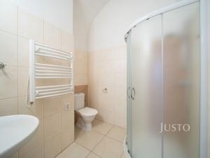 Pronájem bytu 2+kk, Třeboň - Třeboň I, Březanova, 54 m2