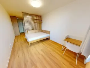 Pronájem bytu 1+kk, Praha - Břevnov, Na Větrníku, 27 m2
