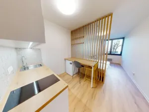 Pronájem bytu 1+kk, Praha - Břevnov, Na Větrníku, 27 m2