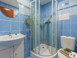 Prodej podílu 3/4 ubytování, Rokytnice nad Jizerou, 906 m2