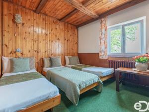 Prodej podílu 3/4 ubytování, Rokytnice nad Jizerou, 906 m2