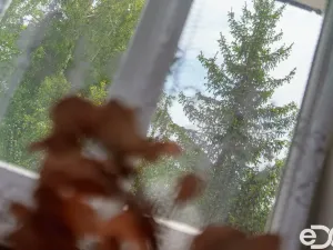 Prodej ubytování, Rokytnice nad Jizerou, 906 m2