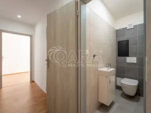 Prodej bytu 4+kk, Letovice, Pražská, 63 m2