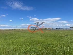 Prodej komerčního pozemku, Sedlnice, 8250 m2