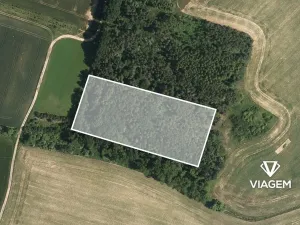 Prodej podílu lesa, Štítary, 3941 m2