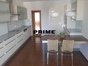 Pronájem bytu 6+kk a větší, Praha - Braník, Psohlavců, 293 m2