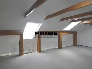 Pronájem bytu 6+kk a větší, Praha - Braník, Psohlavců, 293 m2