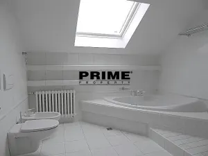 Pronájem bytu 6+kk a větší, Praha - Braník, Psohlavců, 293 m2