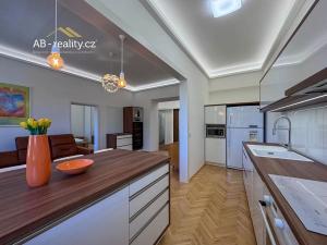 Pronájem bytu 3+kk, Teplice, U Hadích lázní, 79 m2