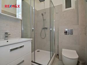 Prodej bytu 2+kk, Praha - Vinohrady, Přemyslovská, 41 m2
