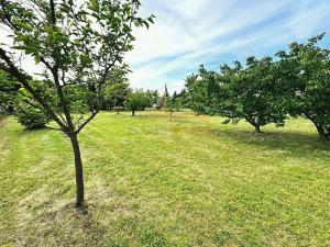 Prodej pozemku pro bydlení, Židovice, 1002 m2