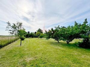 Prodej pozemku pro bydlení, Židovice, 1002 m2