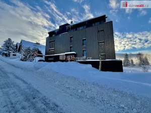 Pronájem bytu 1+1, Harrachov - Nový Svět, 43 m2