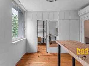 Pronájem bytu 1+kk, Praha - Vinohrady, Perucká, 27 m2