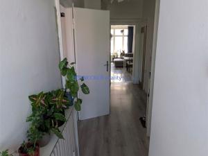 Pronájem bytu 3+kk, Hradec Králové, Švehlova, 75 m2