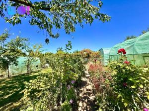 Prodej zahrady, Karviná, 163 m2