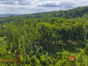 Prodej rodinného domu, Jihlava - Zborná, 136 m2