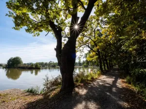 Prodej bytu 2+kk, České Budějovice, M. Horákové, 68 m2