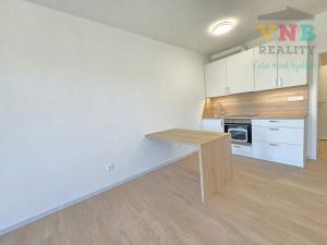 Pronájem bytu 1+kk, Olomouc, Aloise Rašína, 30 m2