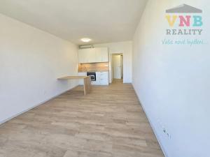 Pronájem bytu 1+kk, Olomouc, Aloise Rašína, 30 m2