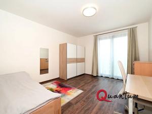 Pronájem bytu 3+kk, Praha - Žižkov, Olšanská, 104 m2