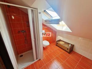 Pronájem bytu 1+kk, Olomouc - Nová Ulice, Na chmelnici, 80 m2