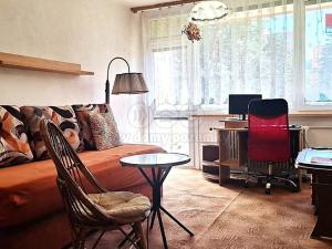 Prodej bytu 1+kk, Nový Bor, Sadová, 28 m2