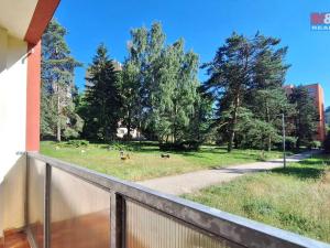 Prodej bytu 1+kk, Nový Bor, Sadová, 28 m2