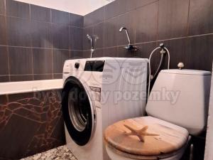 Prodej bytu 1+kk, Nový Bor, Sadová, 28 m2