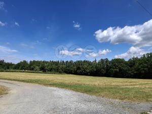 Prodej pozemku pro bydlení, Hradištko, 6923 m2