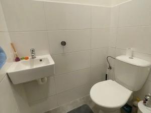 Pronájem bytu 1+kk, Praha - Karlín, Sokolovská, 30 m2