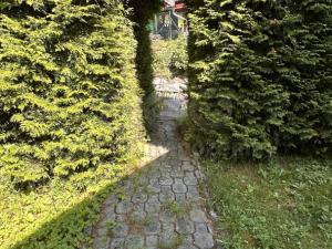 Prodej chalupy, Janov, 101 m2