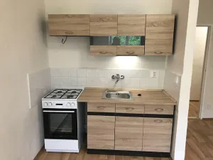 Pronájem bytu 1+kk, Most, Vítězslava Nezvala, 30 m2