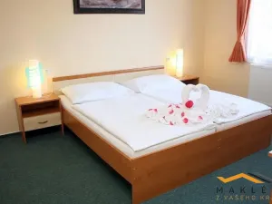 Pronájem ubytování, Dehtáře - Onšovice, 456 m2