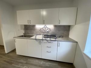 Pronájem bytu 1+kk, Brno - Maloměřice, 17 m2