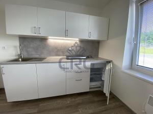Pronájem bytu 1+kk, Brno - Maloměřice, 17 m2