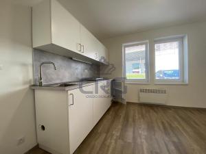 Pronájem bytu 1+kk, Brno - Maloměřice, 17 m2