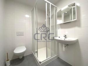 Pronájem bytu 1+kk, Brno - Maloměřice, 17 m2