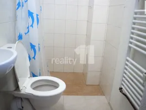 Prodej komerční nemovitosti, Ostrava - Přívoz, Rovná, 1620 m2