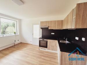 Prodej apartmánu, Stará Paka - Ústí, 260 m2