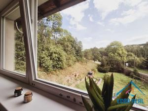 Prodej apartmánu, Stará Paka - Ústí, 260 m2