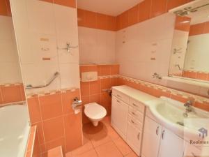 Pronájem bytu 1+1, Roudnice nad Labem, Neklanova, 32 m2