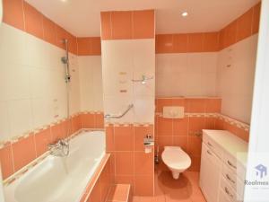 Pronájem bytu 1+1, Roudnice nad Labem, Neklanova, 32 m2