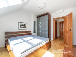 Pronájem bytu 2+kk, Praha - Vinohrady, Francouzská, 69 m2