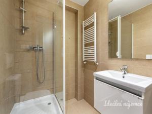Pronájem bytu 2+kk, Praha - Vinohrady, Francouzská, 69 m2