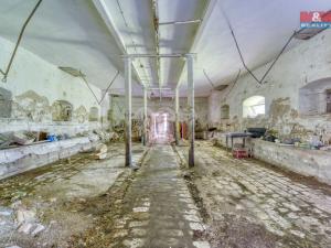Prodej zemědělského objektu, Podbořany - Pšov, 1000 m2