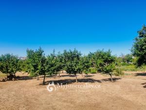 Prodej zahrady, Znojmo, Kuchařovická, 1132 m2